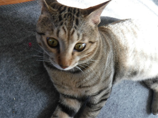 DSCF3318.jpg
